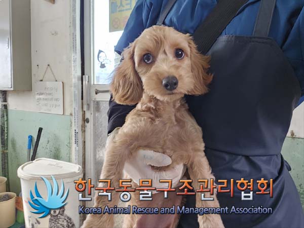 한국동물구조관리협회_441406202401638